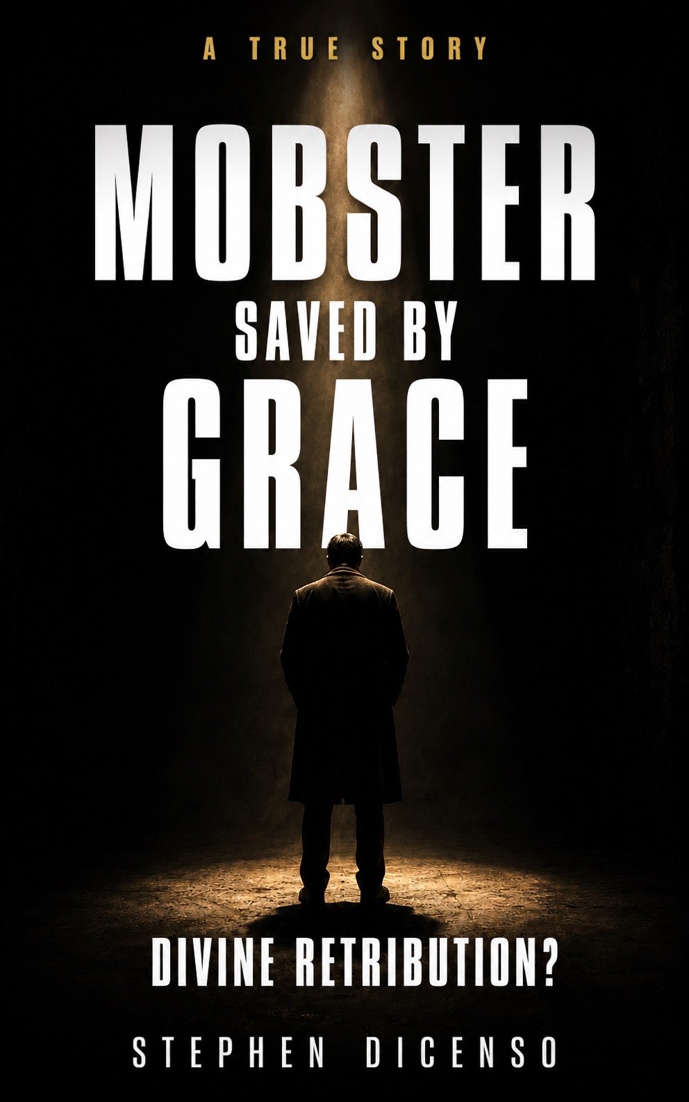 Divine Retribution? book cover